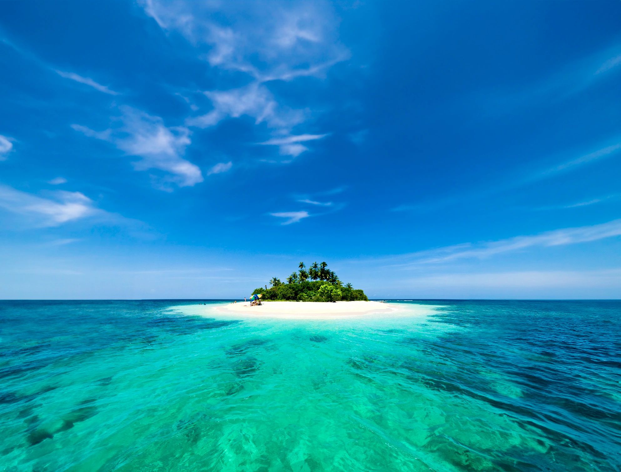 Tropical beach with palm trees and white sand
